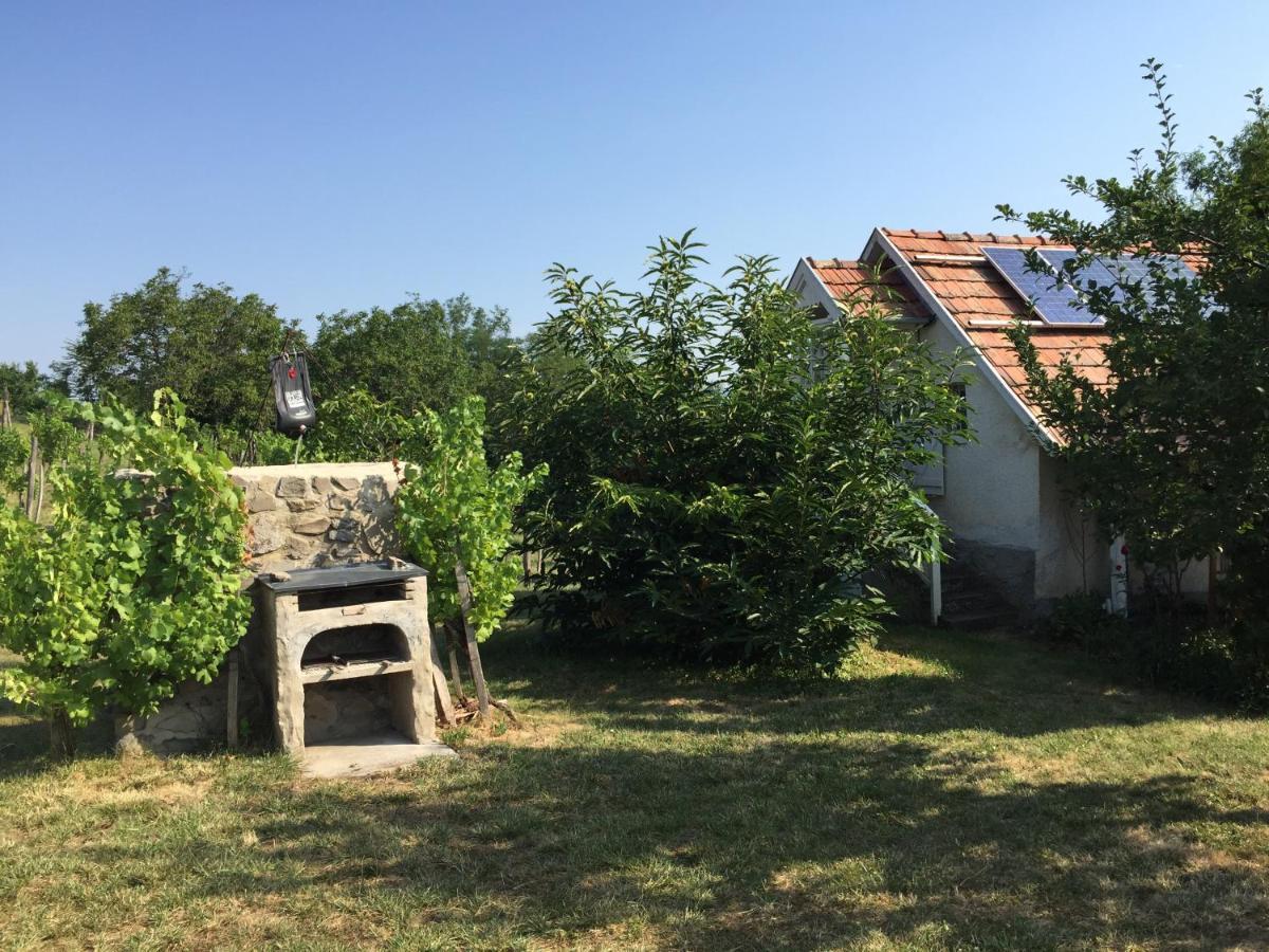 Csobanc Szerelem-Nemzeti Park-Oenallo Haz - Klimatizalt Gyulakeszi Exterior photo