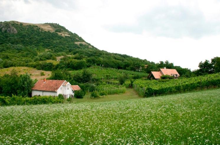 Csobanc Szerelem-Nemzeti Park-Oenallo Haz - Klimatizalt Gyulakeszi Exterior photo